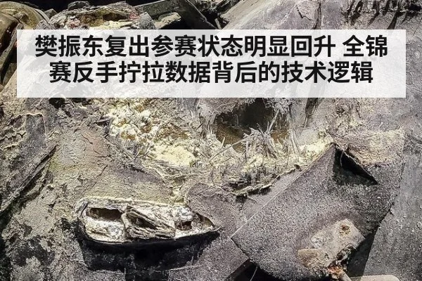 樊振东复出参赛状态明显回升 全锦赛反手拧拉数据背后的技术逻辑